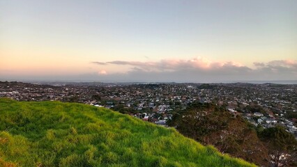A residential street in Auckland, New Zealand in summer
