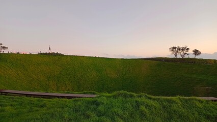 Fototapeta premium A residential street in Auckland, New Zealand in summer