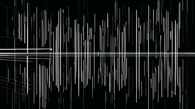 black and white barcode