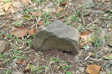A close-up shot of a rock lying on a patch of soil, surrounded by dry leaves, small rocks, and patches of grass. The scene appears outdoors with natural lighting, showcasing a mix of earthy tones.