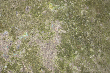 Weathered Mossy Stone Texture with Natural Rough Surface – Perfect for Backgrounds and Environmental Design