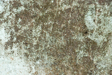 Grunge Texture with Distressed Surface and Rough Patterns – Perfect for Backgrounds and Artistic Design