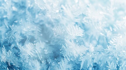Fototapeta premium Abstract Macro of Icy Snowflake Crystals