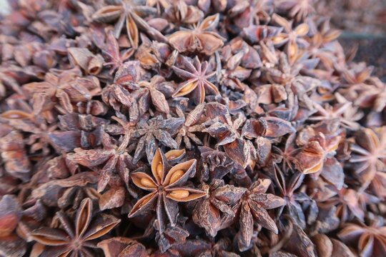 Star Anise on the background, Star anise is spice that has been used in traditional Chinese medicine for thousands of years. It has powerful bioactive compounds that may help treat fungal.