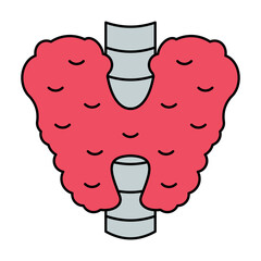 Thyroid Icon, Body human anatomy
