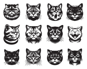 Set of American Shorthair Cat face Vector illustration - American Shorthair Cat Clipart Design
