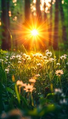 Sunlight streams through the trees, illuminating a field of wildflowers.