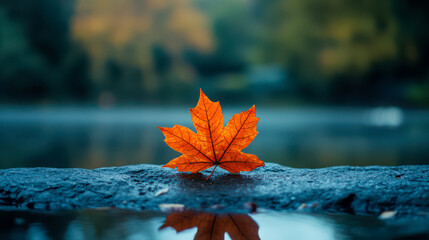 Broken Maple Leaf on Basalt Stone in Smoky Water
