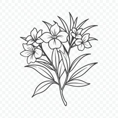 Beautiful Floral Bunch with Detailed Oleander Line Art Vector Illustration for Botanical Designs