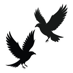 Bird sihlouette 