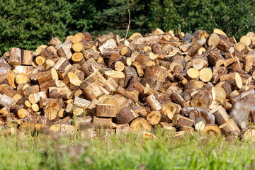 A pile of wood logs is stacked in a field