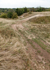 Fototapeta premium A dirt road in a field with trees in the background