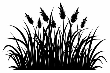 Grass silhouette, black grass vector illustration. meadow border