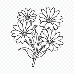 Floral Bunch Featuring Detailed Osteospermum Line Art Vector Illustration