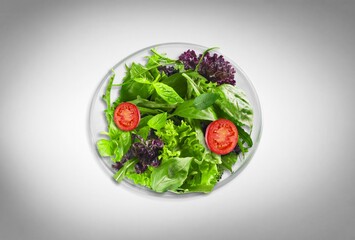 Caesar salad dish with fresh vegetables