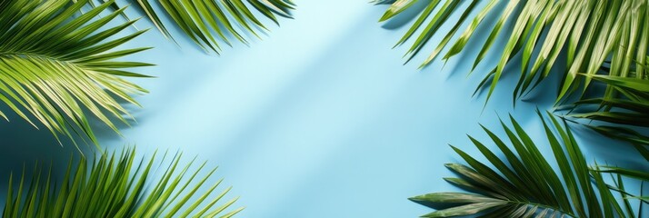 Tropical Palm Leaves Against Sunlight with Light Blue Background