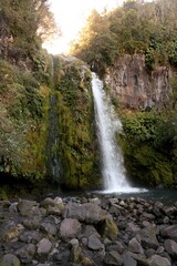Dawson Falls in New Zealand - Majestic Waterfall Nature