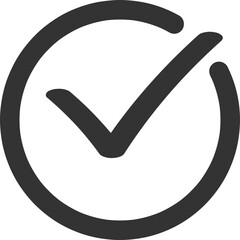 Checklist Mark Icon