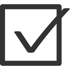 Checklist Mark Icon