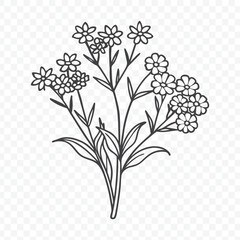 Elegant Floral Bunch with Yarrow Line Art Vector Illustration in Delicate Botanical Style