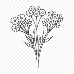 Elegant Floral Bunch with Yarrow Line Art Vector Illustration in Delicate Botanical Style