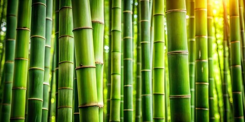 Fototapeta premium Detailed Bamboo Texture Background with Vertical Lines in Natural Green Earthy Tones for Urban Exploration Photography