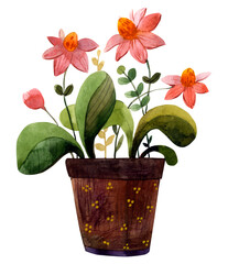 Watercolor Illustration of a flower on a light background. Flowering plant in a pot