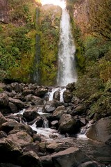 Dawson Falls in New Zealand - Majestic Waterfall Nature
