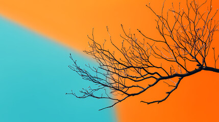 Withered branch on a minimalist abstract background