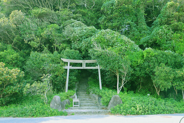 緑に覆われた鳥居 Torii Gate