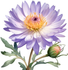 Obraz premium Refreshing Watercolor Clipart of Mojave Aster Flower Vibes. 