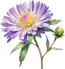 Obraz premium Striking Watercolor Mojave Aster Flower for Art Enthusiasts.