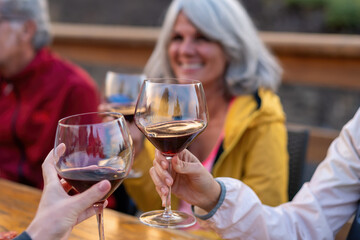 Close-up of friends toasting with red wine glasses: mature women enjoying outdoor social gathering