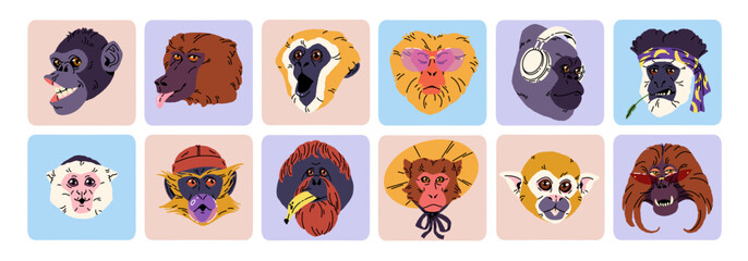 Cute avatars of monkeys set. Icons with square shape with portraits of funny primates. Amusing heads, smile faces of gorilla, marmoset for user profile. Flat isolated vector illustrations on white © Paper Trident