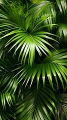 Obraz premium Coconut leaves in the sunlight are bright green generative AI