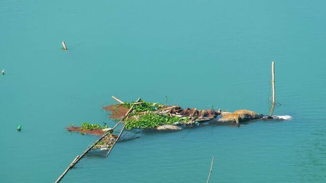 A dead cow&rsquo;s corpse floating in the polluted blue water of Bangladesh, beginning to decompose.