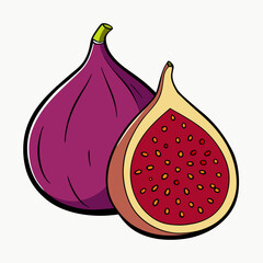 Fig Fruit and slice vector illustration