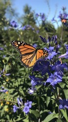 Obraz premium Butterfly on blue flower courtesy Betsy Staples ai generated art