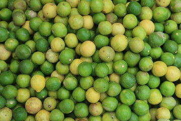 green and yellow lemon on the background	