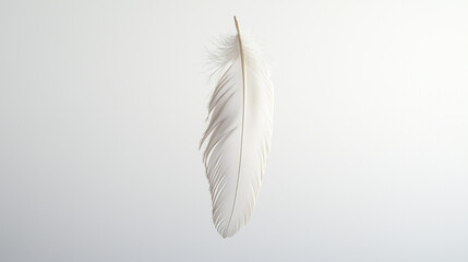Obraz premium A delicate, intricately detailed feather hangs suspended against a stark white background. The feather’s textures and subtle color variations are rendered sharply, evoking a sense of grace and lightne