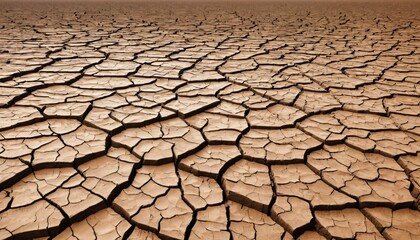 Cracked Earth Landscapes