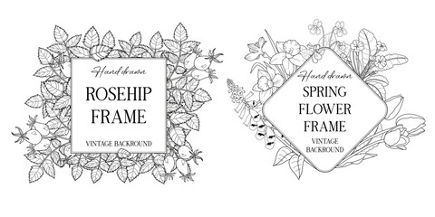 Hand drawn botanical frames with leaves and flowers. Vector illustration in sketch style isolated on white. Realistic forest design element. Space for text