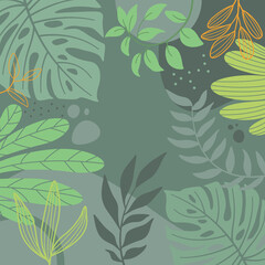 Design spring background with beautiful. Colorful background with tropical plants.