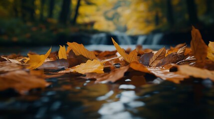 Close-up of autumn leaves floating on a calm river with a blurred waterfall in the background, capturing the serene atmosphere of a fall day with rich orange and brown tones