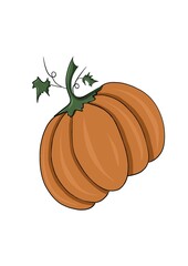 One large orange pumpkin with a short stem and two green leaves on a white background in the center of the illustration, front view, close-up. Vibrant digital illustration.