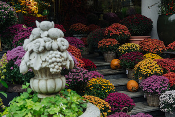 Colorful autumn flowers and pumpkins decorate a charming entrance in a quaint setting