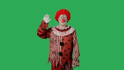 Funny clown on green screen chroma key.