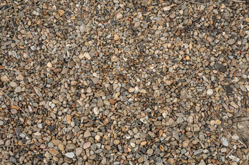 a pattern of small stones lying on a beach to use as a background