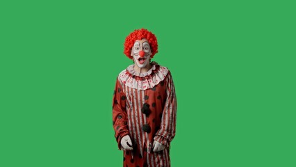 Funny clown on green screen chroma key.