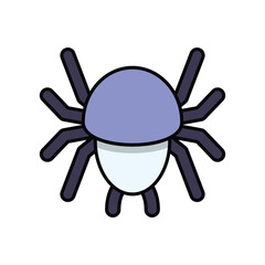 Spider vector icon